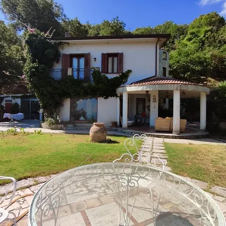 Pantano