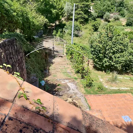 Pantano