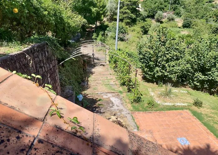 Pantano